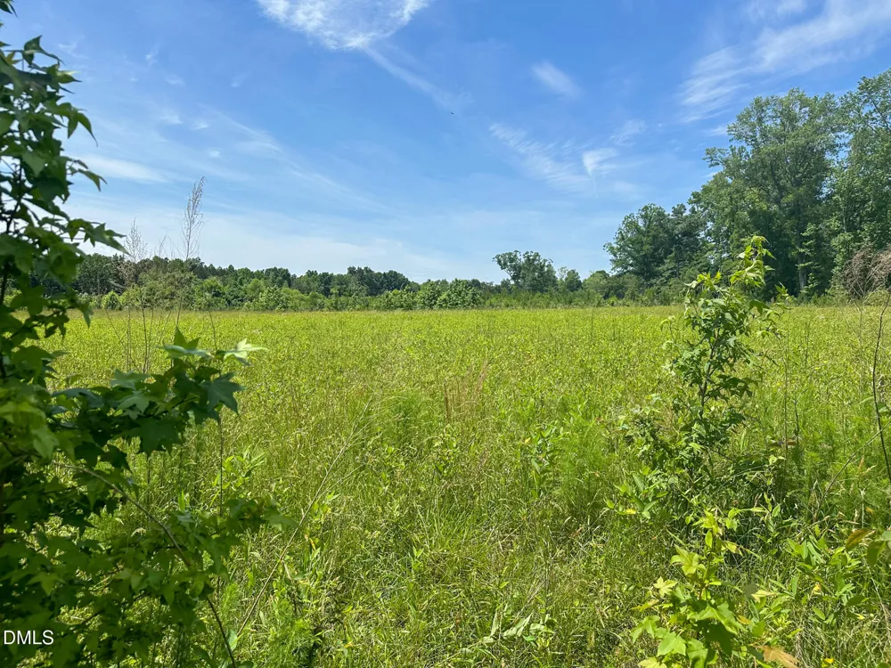 3375 Bonlee Bennett Road Siler City, NC 27344