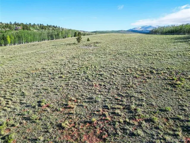 TBD Canthook Lane Fairplay, CO 80440