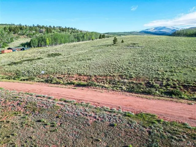 TBD Canthook Lane Fairplay, CO 80440
