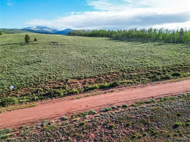 TBD Canthook Lane Fairplay, CO 80440