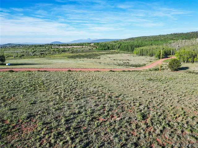 TBD Canthook Lane Fairplay, CO 80440