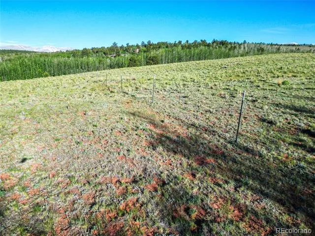 TBD Canthook Lane Fairplay, CO 80440