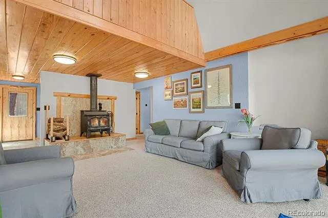 881 Trail Creek Road Lake George, CO 80827