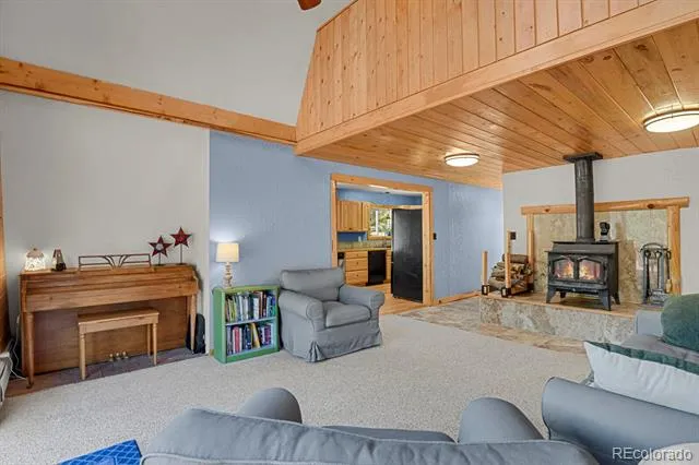 881 Trail Creek Road Lake George, CO 80827