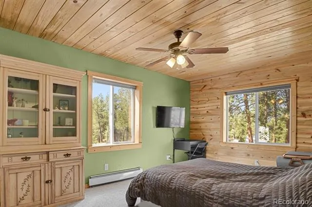 881 Trail Creek Road Lake George, CO 80827