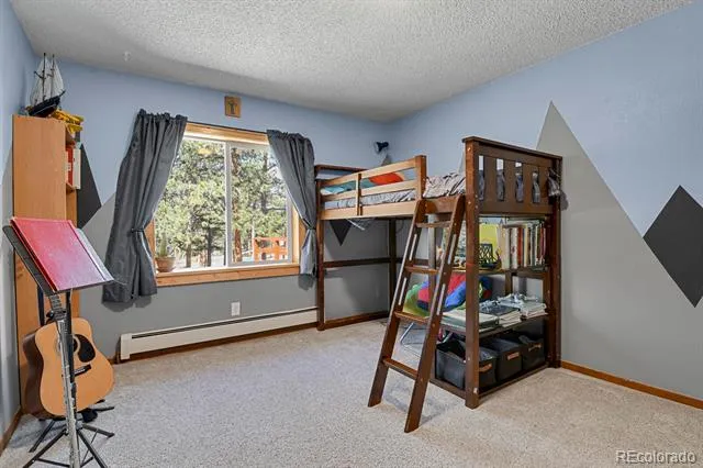 881 Trail Creek Road Lake George, CO 80827