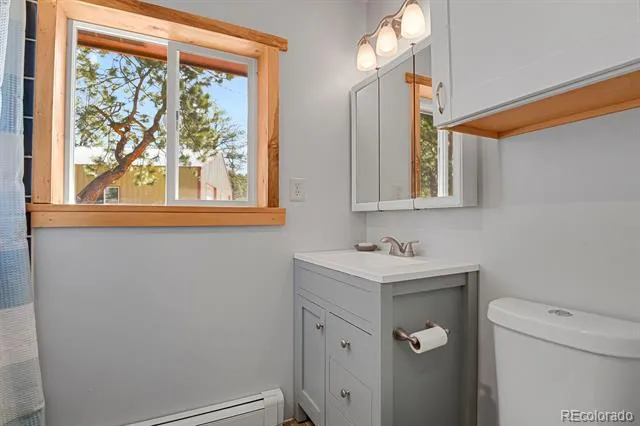 881 Trail Creek Road Lake George, CO 80827