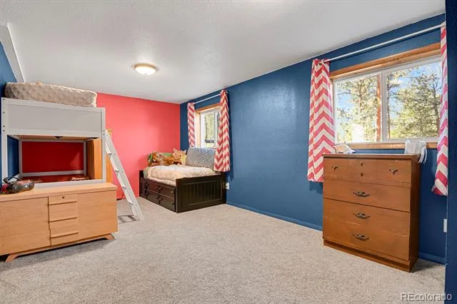 881 Trail Creek Road Lake George, CO 80827