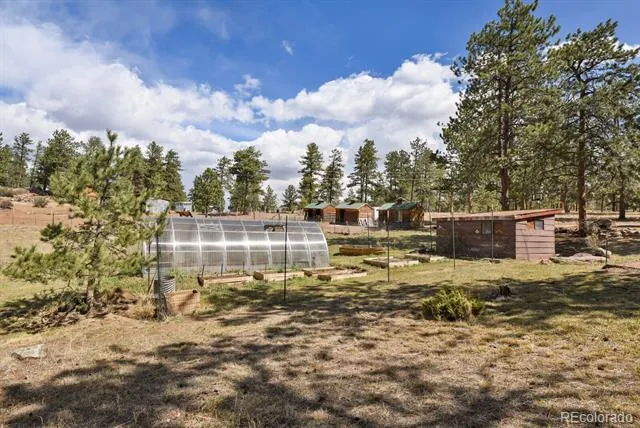881 Trail Creek Road Lake George, CO 80827