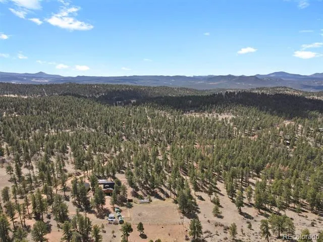 881 Trail Creek Road Lake George, CO 80827