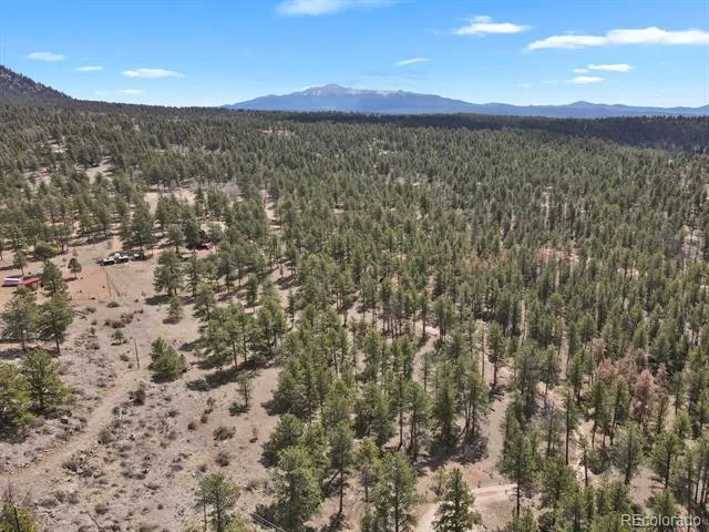881 Trail Creek Road Lake George, CO 80827