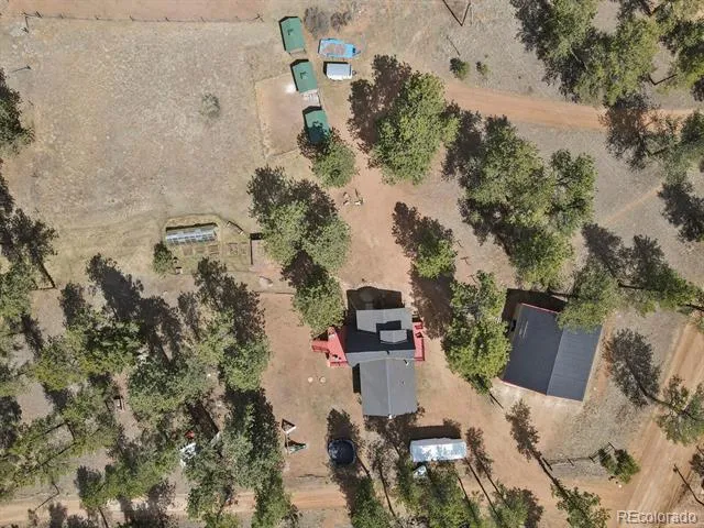 881 Trail Creek Road Lake George, CO 80827