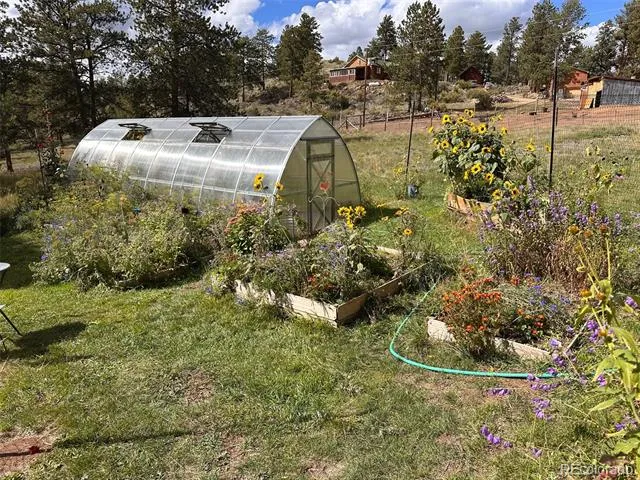 881 Trail Creek Road Lake George, CO 80827