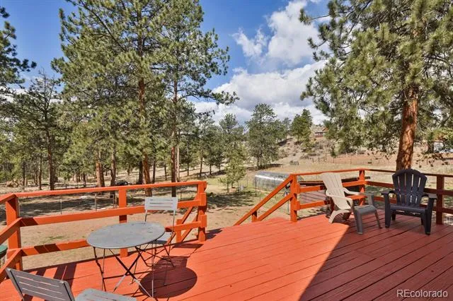 881 Trail Creek Road Lake George, CO 80827