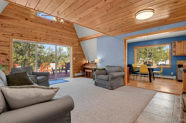 881 Trail Creek Road Lake George, CO 80827