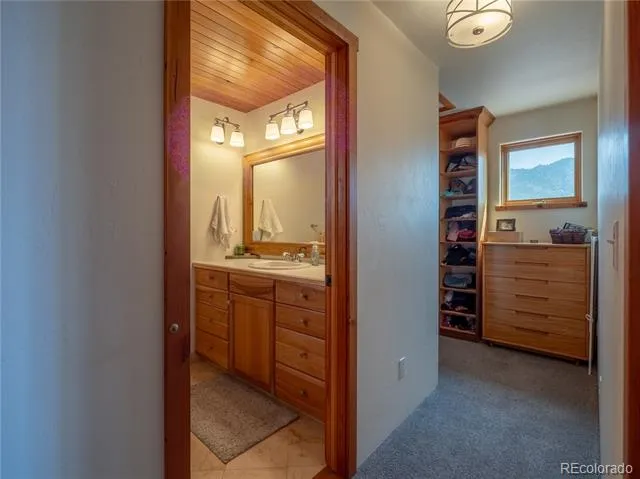 33515 Mt Harvard Circle Buena Vista, CO 81211