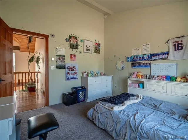 33515 Mt Harvard Circle Buena Vista, CO 81211