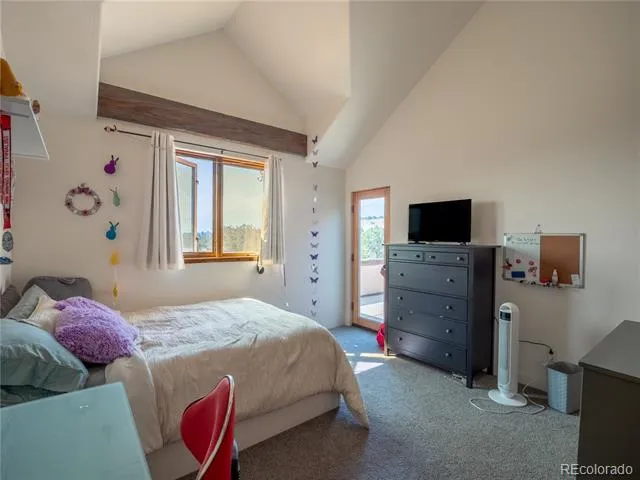 33515 Mt Harvard Circle Buena Vista, CO 81211