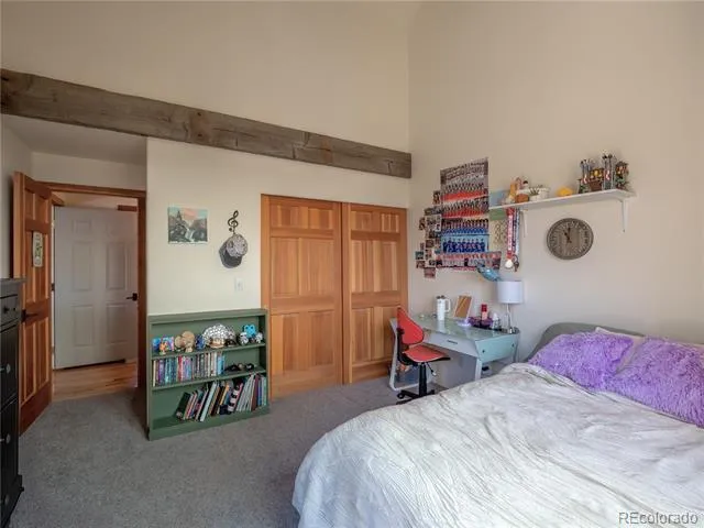 33515 Mt Harvard Circle Buena Vista, CO 81211