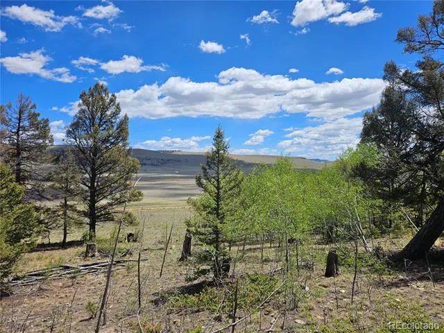 1412 Redhill Road Fairplay, CO 80440