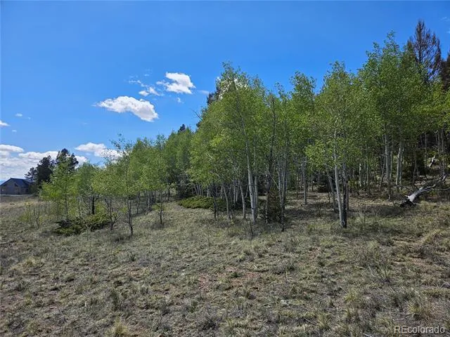 1412 Redhill Road Fairplay, CO 80440