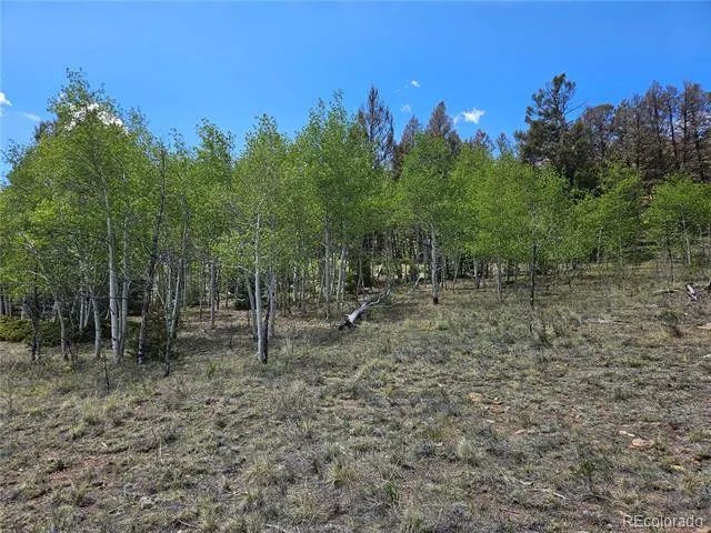 1412 Redhill Road Fairplay, CO 80440
