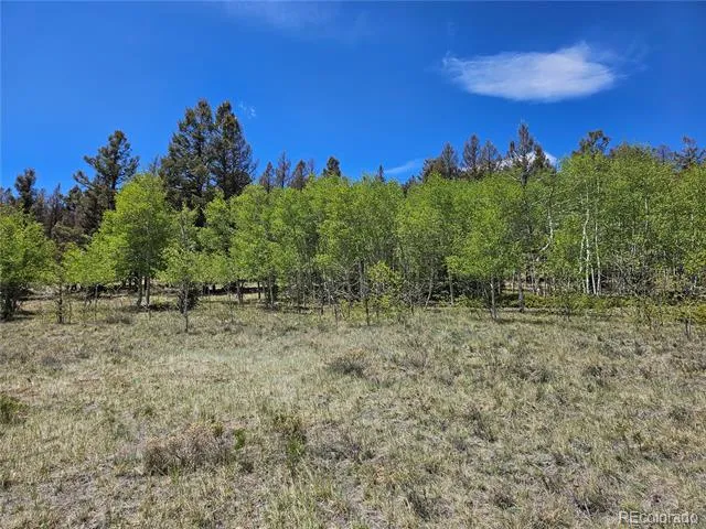 1412 Redhill Road Fairplay, CO 80440