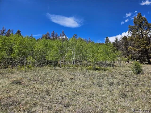 1412 Redhill Road Fairplay, CO 80440