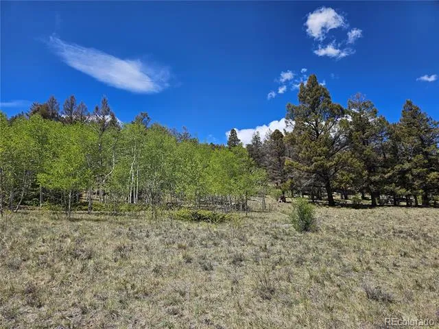1412 Redhill Road Fairplay, CO 80440