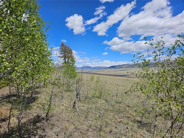 1412 Redhill Road Fairplay, CO 80440