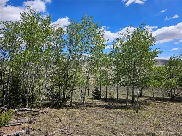 1412 Redhill Road Fairplay, CO 80440