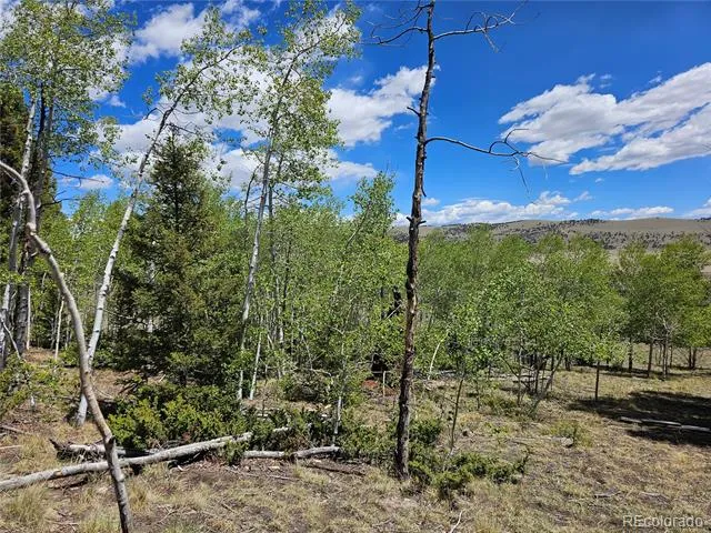 1412 Redhill Road Fairplay, CO 80440