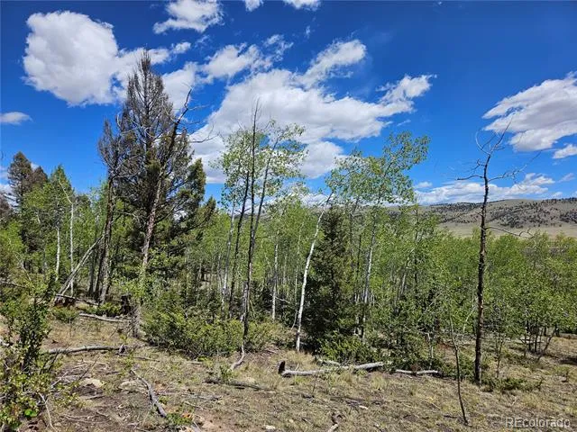 1412 Redhill Road Fairplay, CO 80440