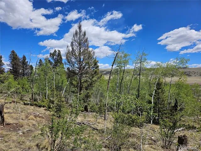 1412 Redhill Road Fairplay, CO 80440