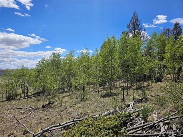 1412 Redhill Road Fairplay, CO 80440