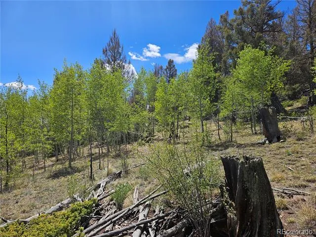 1412 Redhill Road Fairplay, CO 80440