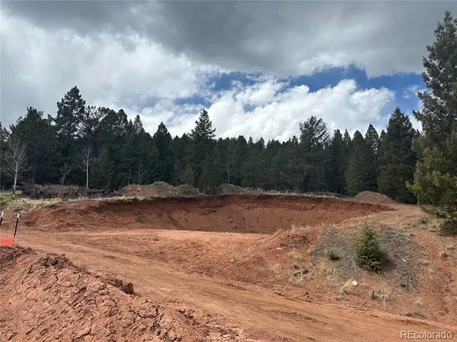Firestone Drive Woodland Park, CO 80863