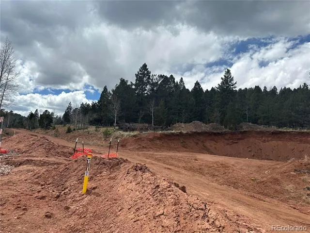 Firestone Drive Woodland Park, CO 80863