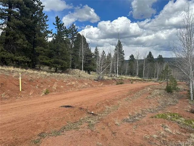 Firestone Drive Woodland Park, CO 80863