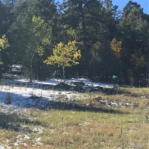 14745 Wetterhorn Peak Trail Pine, CO 80470