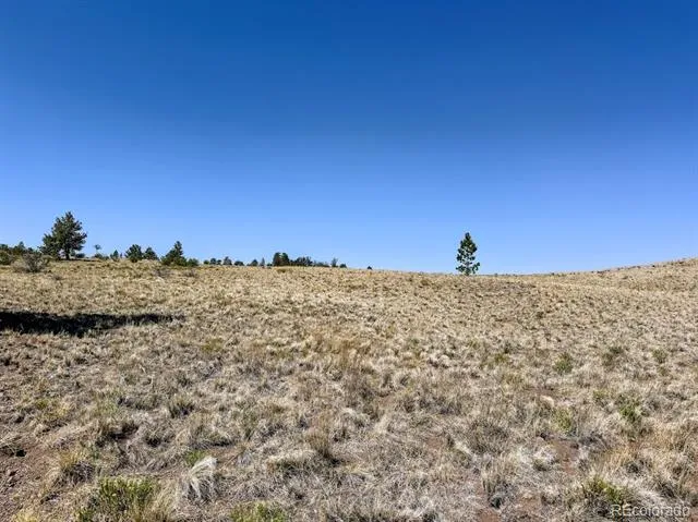0000 Falcon Road Hartsel, CO 80449