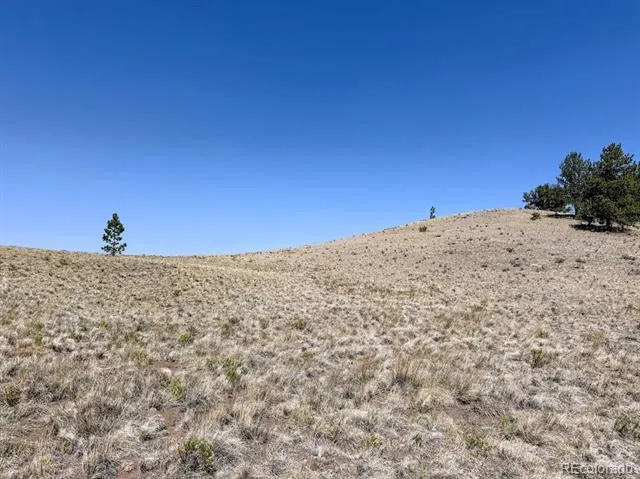 0000 Falcon Road Hartsel, CO 80449