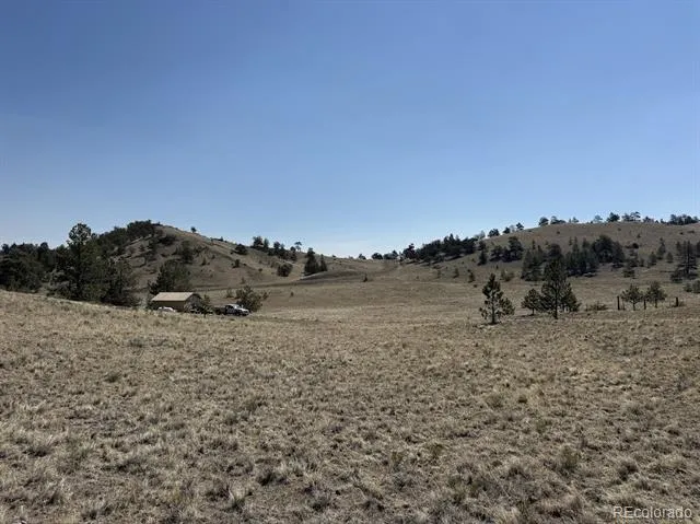 0000 Falcon Road Hartsel, CO 80449