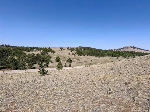 0000 Falcon Road Hartsel, CO 80449