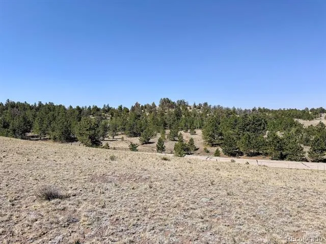 0000 Falcon Road Hartsel, CO 80449