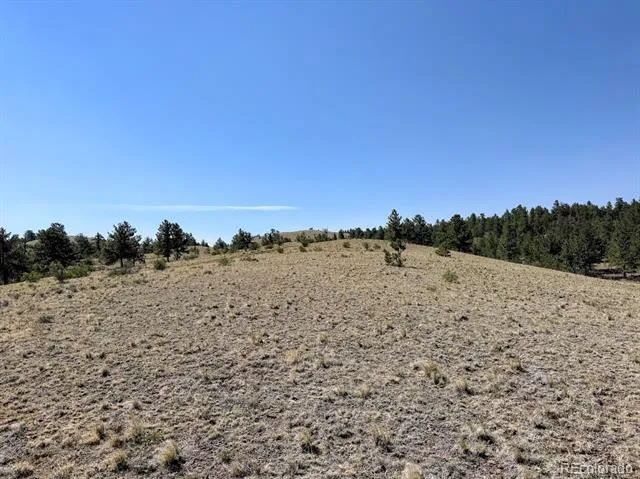 0000 Falcon Road Hartsel, CO 80449