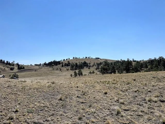 0000 Falcon Road Hartsel, CO 80449