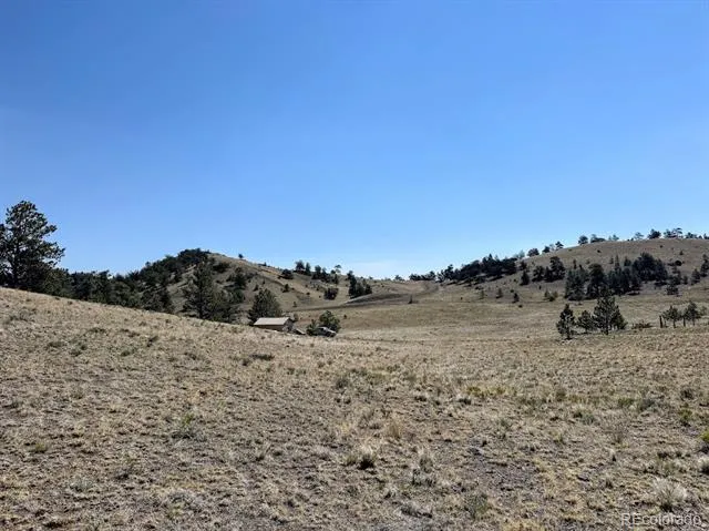 0000 Falcon Road Hartsel, CO 80449