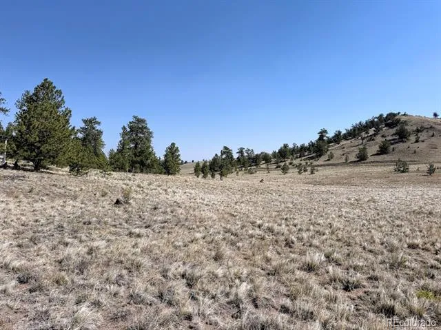 0000 Falcon Road Hartsel, CO 80449
