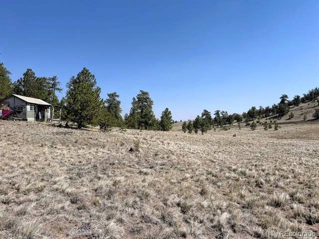 0000 Falcon Road Hartsel, CO 80449